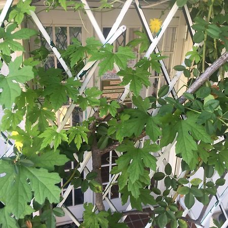 Wagyu Hostel Nedoko ناغاساكي المظهر الخارجي الصورة